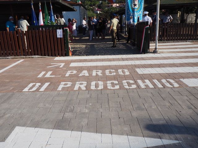 parcheggio procchio 77