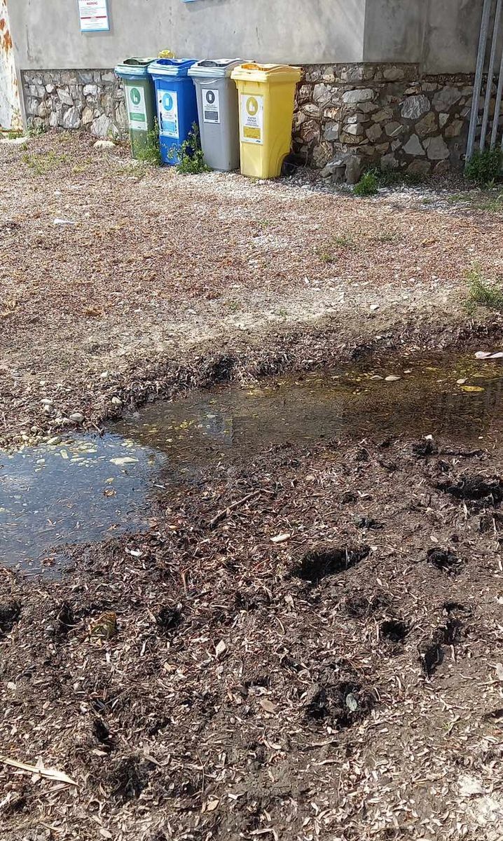 spiaggia padulella incuria (1)