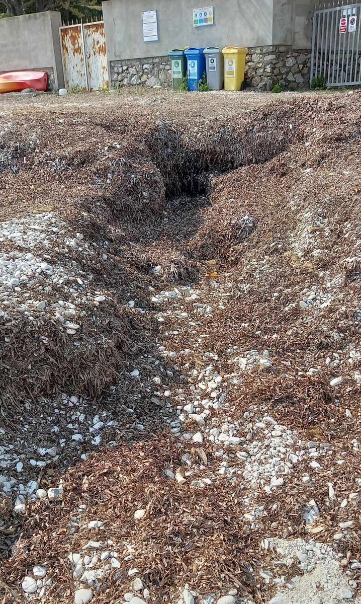 spiaggia padulella incuria (7)