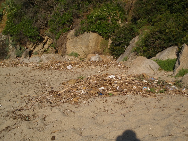 spiaggia cavoli 1