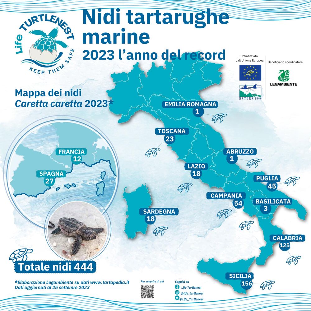 cartina turtlenest ottobre 2023.pdf