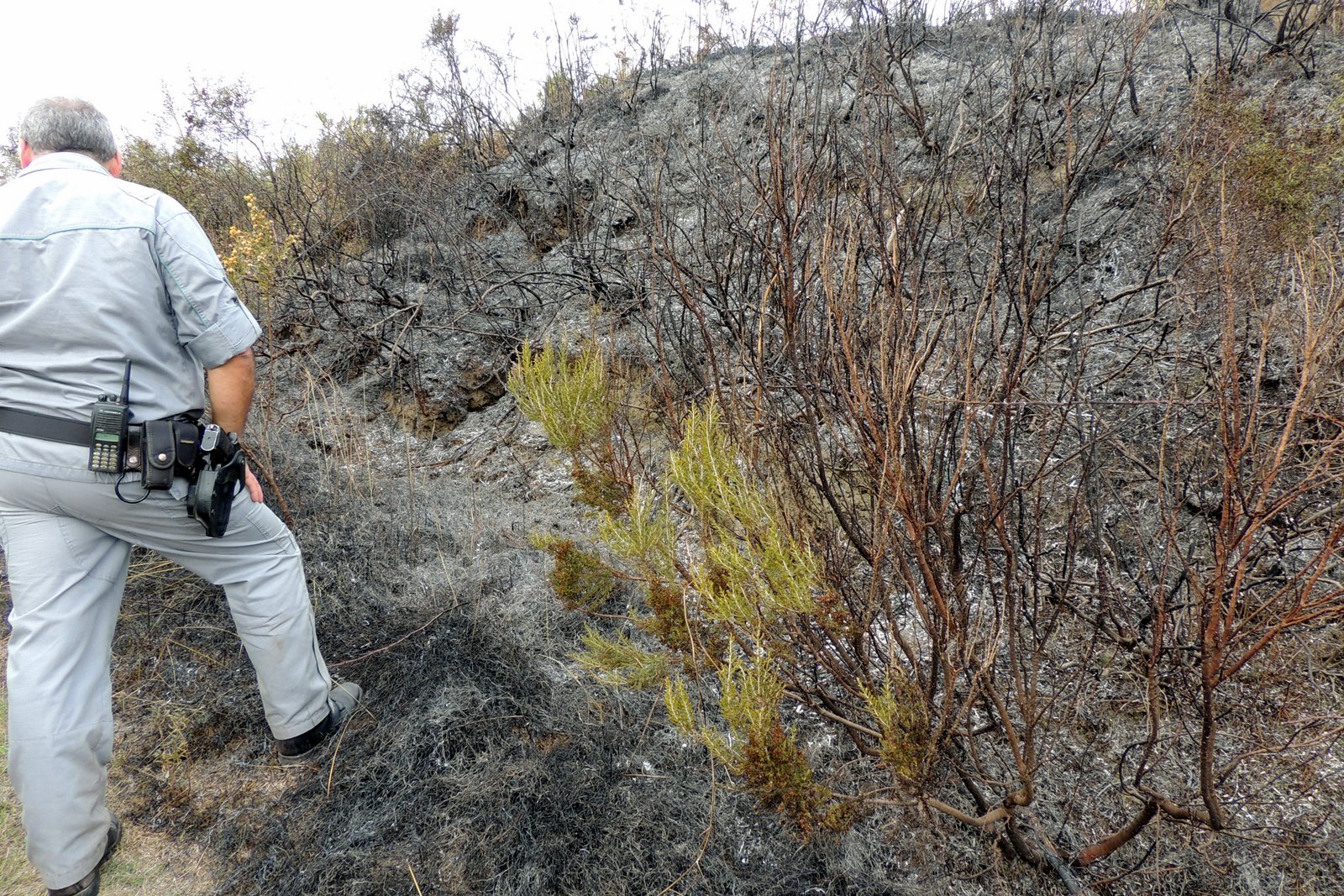 incendio moncione1