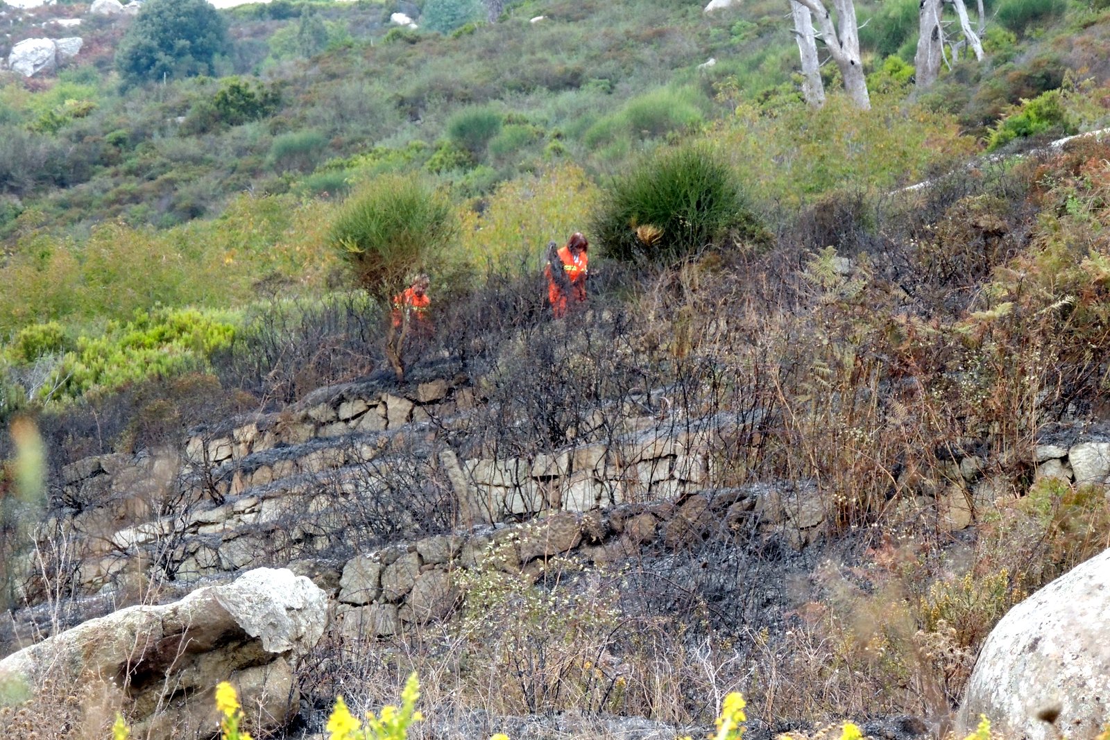 incendio moncione4