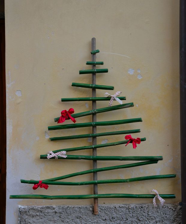 albero 10