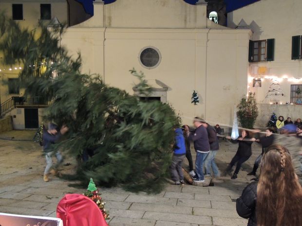 albero in piazza di chiesa