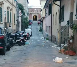 Fotonotizia: Portoferraio, il banchetto del gabbiano