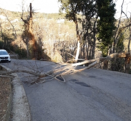 Foto di repertorio 