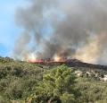 Canadair in azione per domare le fiamme