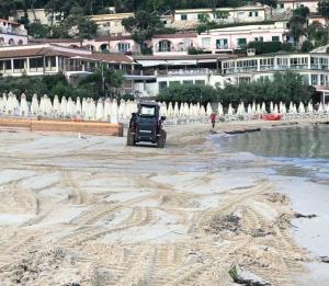 Il ripascimento, le tartarughe e la nuova giunta di Portoferraio