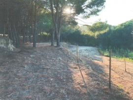 Parcheggio da 50/60 auto sulla strada dell&#039;Enfola: fattibile, ma il Parco... 