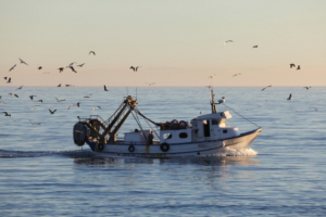 Chiamata d&#039;imbarco, si cerca un marinaio