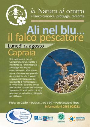 A Capraia il 12 agosto la conferenza &quot;Ali nel blu: il Falco pescatore&quot;