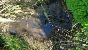 Sversamento di fanghi nel fosso del Fabbrello a Schiopparello