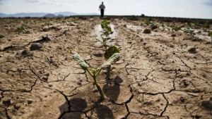 Cambiamenti del clima: si fanno solo annunci o si passa ad azioni concrete?