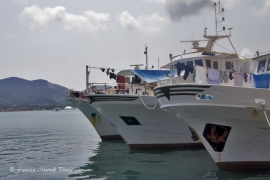 Chiamata d&#039;imbarco su motopeschereccio, si cercano 3 marinai