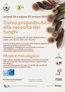 A Marciana corso propedeutico alla raccolta dei funghi e mostra micologica