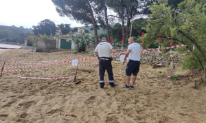 La Capitaneria di porto mette in sicurezza l&#039;area della nidificazione di tartaruga