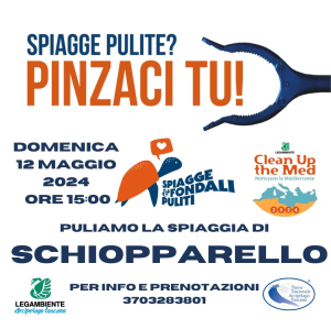 Operazione spiagge e fondali puliti: a Schiopparello pinzaci tu!