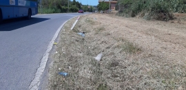 Fotonotizia: rifiuti tritati dopo il taglio dell&#039;erba lungo le strade