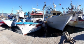 Aumento giorni fermo pesca, anche la Toscana si unisce al coro di proteste