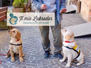 Diretta speciale con Let&#039;s Dog, Edicola Elbana e Andrea Zenobi dell&#039;Associazione &quot;Il mio Labrador&quot;