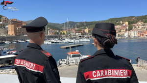 Rio: 41enne arrestato dai Carabinieri per furto, tentata estorsione, truffa e ricettazione