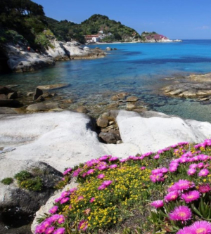 Il tuffo della &quot;primavera in mare&quot; martedì alle Ghiaie