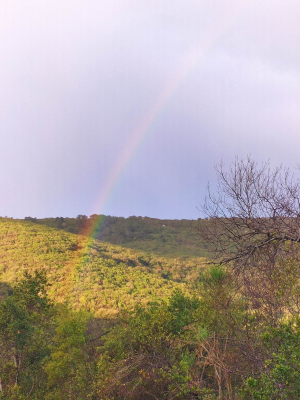 Fotonotizia: dopo la pioggia l&#039;arcobaleno sulla strada del Monumento