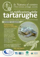 Nidificazione delle Tartarughe, se ne parla con gli esperti a Fetovaia