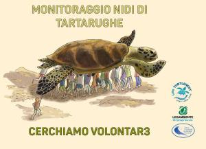 Cercasi cercatori di tracce di tartarughe marine