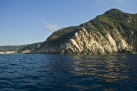 Foto di Elba Diving