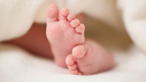 Neo-Safe: lavorare in team per la sicurezza neonatale si può