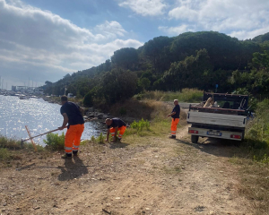 Pulizie sulla spiaggia di Mola - Un tributo dovuto alla riqualificazione della zona umida di Capoliveri