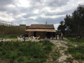 Aula VerdeBlu, farfalle e tartarughe: convenzione del Parco Nazionale con Legambiente Arcipelago Toscano