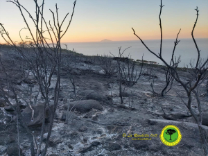 Mappatura incendio a Castancoli, il Comune di Campo precisa