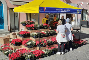 Il 14 maggio a Portoferraio l’Azalea della Ricerca AIRC