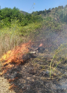 Incendio a Mola, in corso le operazioni di bonifica