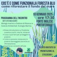 Cos’è e come funziona la Foresta Blu - Come riforestare il fondo del mare