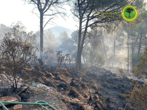 Operazioni di bonifica in corso, gli sfollati rientrano nei loro alloggi. 20 ettari di vegetazione andati a fuoco