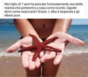 Marco Sartore: i furti di un pezzo di natura dell&#039;Elba che chiamate &quot;souvenir&quot;