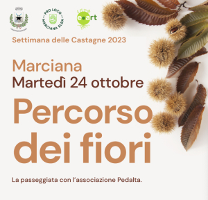 Settimana delle Castagne: martedì 24 la passeggiata con l’associazione Pedalta.