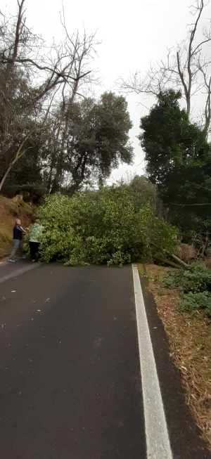 Strade provinciali della Civillina e di Monte Perone chiuse al traffico  per crolli di piante