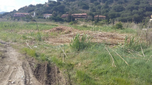 In realtà le sorgenti sull&#039;isola sono poche e di bassa portata