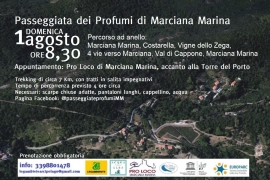 Il 1° agosto passeggiata dei profumi alla scoperta dell’Elba contadina, panorami inaspettati e chiesine