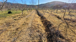 Pesante sanzione ad un agricoltore per scorretto uso di diserbanti