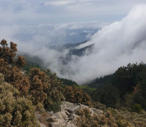 Una giornata sul percorso dell&#039;Elba Trail