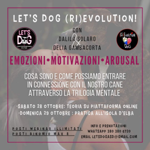 Cos’è la Trilogia Mentale? Una serie di incontri con Let&#039;s Dog per divulgare la cultura cinofila