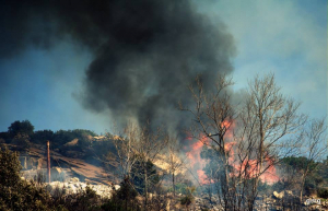 Prorogato al 15 settembre il periodo ad alto rischio incendi boschivi