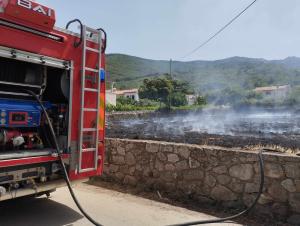 Incendio in un campo di sterpaglie a Marciana Marina, fiamme domate