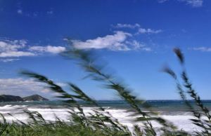 Meteo: forti venti e possibilità (non alta) di temporali sulle isole